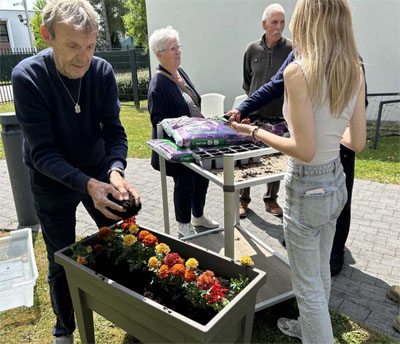 emeis les cotonnieres jardinage