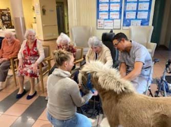 emeis le village animaux