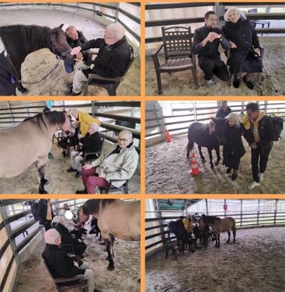 emeis jardins du lac arse