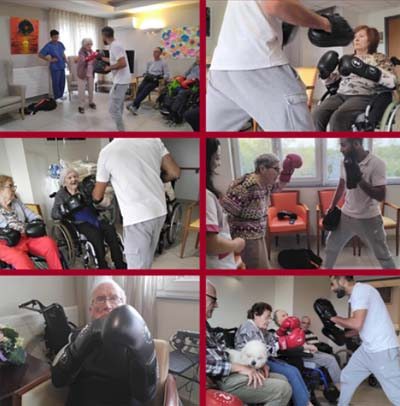 emeis jardins du lac boxe emeis jardins du lac boxe