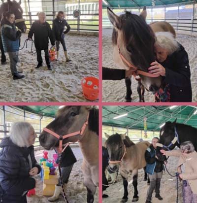 emeis jardins du lac equitherapie emeis jardins du lac equitherapie