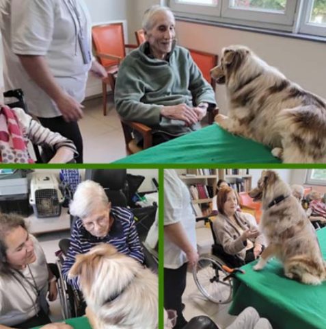 emeis jardins du lac mediation emeis jardins du lac mediation