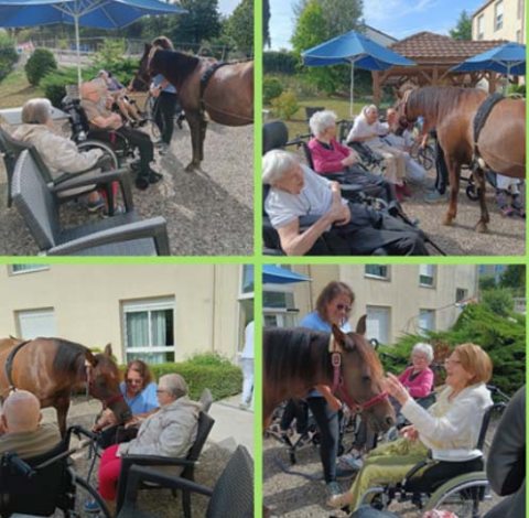 emeis jardins du lac opaline emeis jardins du lac opaline