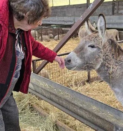 les haras ferme