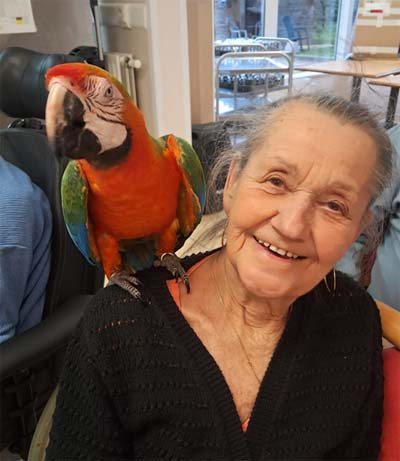 emeis les dornets spectacle emeis les dornets spectacle