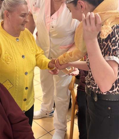 emeis les dornets spectacle emeis les dornets spectacle