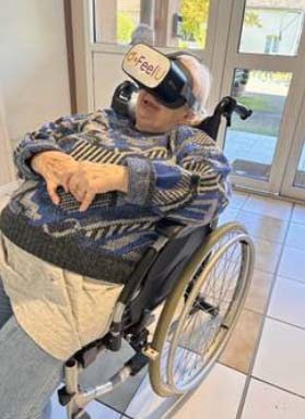 emeis les dornets virtuelle emeis les dornets virtuelle