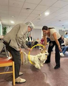emeis jardins de romilly activites