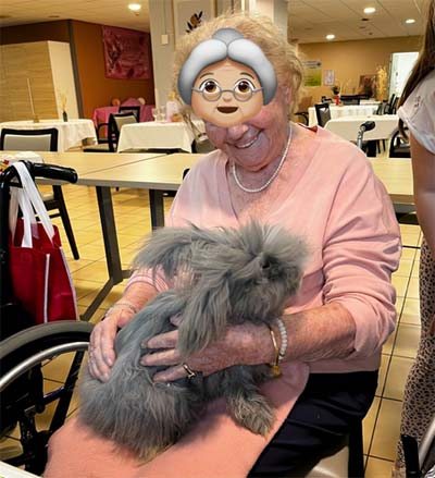 emeis residence de lisle mediation emeis residence de lisle mediation