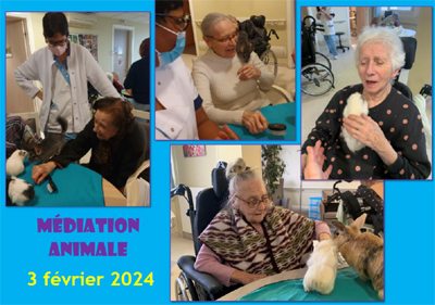 Montchenot animale