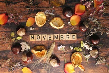 beausejour novembre 2024