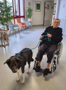 emeis les maraichers chien