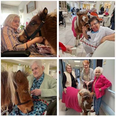 docteur hallot equitherapie