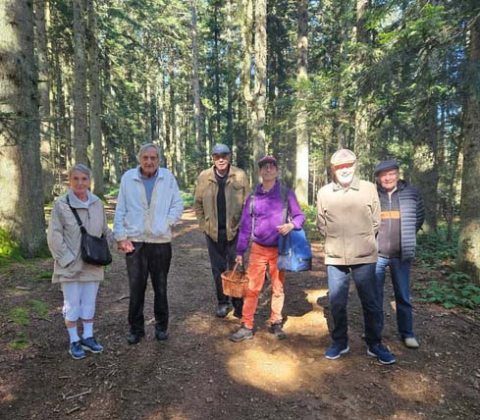 emeis lhermitage foret