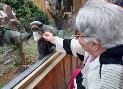 l'emeraude zoo