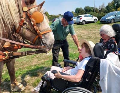 emeis lemeraude été