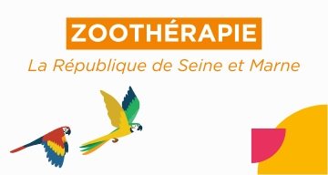 emeis-maison-de-retraite-chateau-nodet-zootherapie.jpg
