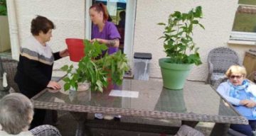 emeis residence du vexin jardinage