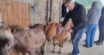 emeis clos benedictins equitherapie