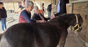 emeis clos benedictins equitherapie