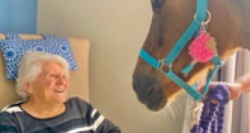 les beaux arts cheval
