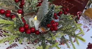 emeis mimosas decembre emeis mimosas decembre