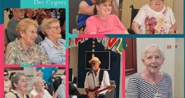 les cygnes anniv
