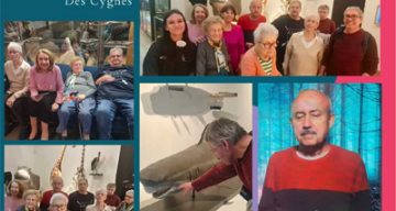 les cygnes aquarium