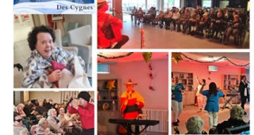 les cygnes festivites