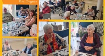 les cygnes loto