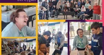 les cygnes rencontre