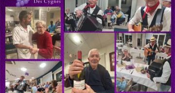 emeis cygnes beaujolais