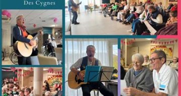 emeis cygnes benevoles