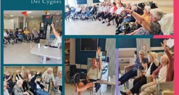 emeis cygnes danse