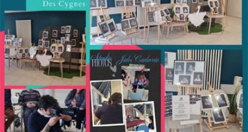 emeis cygnes expo