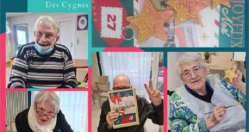 emeis cygnes partage