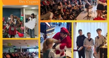 emeis cygnes rencontre