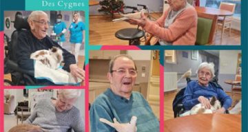 emeis cygnes zootherapie