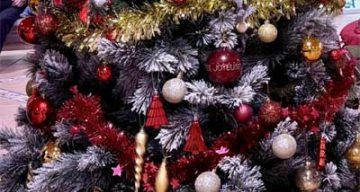 emeis jardins de jeanne decembre emeis jardins de jeanne decembre