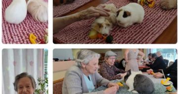 la puisaye zootherapie