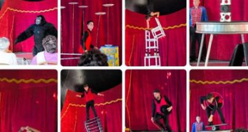 emeis la puisaye cirque