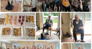 emeis la puisaye defi