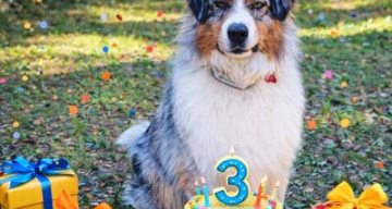 emeis jardins de grasse anniv