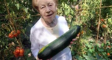 emeis jardins de grasse potager