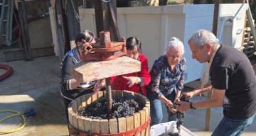 emeis carmableu vendanges