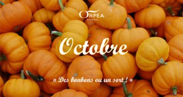 les bords de seine octobre 2023