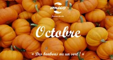 les bords de seine octobre 2024