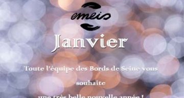 emeis les bords de seine janvier 2025