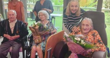 emeis magnolias fete