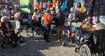 emeis magnolias sortie emeis magnolias sortie